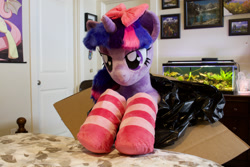 Size: 1800x1200 | Tagged: safe, artist:natureshy, artist:qtpony, twilight sparkle, pony, g4, bow, clothes, hair bow, heart eyes, irl, photo, plushie, socks, solo, striped socks, wingding eyes