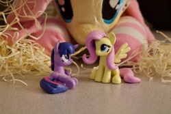 Size: 1280x854 | Tagged: safe, artist:natureshy, fluttershy, twilight sparkle, pony, g4, butt, irl, now kiss, photo, plushie, toy