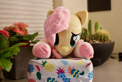Size: 1280x854 | Tagged: safe, artist:natureshy, fluttershy, pony, g4, irl, photo, plushie, solo