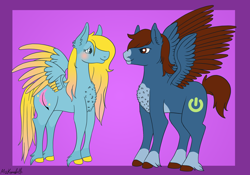 Size: 5310x3725 | Tagged: safe, artist:misskanabelle, oc, oc only, pegasus, pony, abstract background, colored hooves, duo, female, hoof fluff, male, mare, pegasus oc, signature, stallion, two toned wings, wings