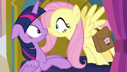 Size: 1920x1080 | Tagged: safe, screencap, fluttershy, twilight sparkle, alicorn, pegasus, pony, a health of information, g4, season 7, boop, duo, duo female, female, floppy ears, mare, nose wrinkle, noseboop, out of context, smiling, spread wings, twilight sparkle (alicorn), wings