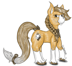 Size: 3022x2778 | Tagged: safe, artist:lil_vampirecj, artist:lilvampirecj, oc, oc only, oc:coffee bean, earth pony, pony, bow, bowtie, brown mane, clothes, coffee mug, digital art, digitalised, feather, ginger, high res, hooves, mug, photo, platted mane, sketch, socks, solo, tied mane, tied tail, white muzzle