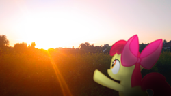 Size: 1920x1080 | Tagged: safe, artist:japkozjad, apple bloom, earth pony, pony, g4, amateur, irl, photo, solo, sunset, warm