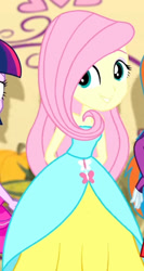 Size: 843x1582 | Tagged: safe, screencap, fluttershy, twilight sparkle, a photo booth story, equestria girls, g4, my little pony equestria girls: summertime shorts, cropped, fall formal outfits