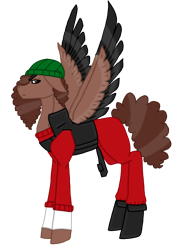 Size: 2575x3603 | Tagged: safe, artist:agdapl, pegasus, pony, clothes, crossover, demoman, demoman (tf2), female, hat, high res, mare, ponified, rule 63, species swap, team fortress 2, vest