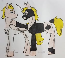 Size: 2861x2554 | Tagged: safe, artist:agdapl, pegasus, pony, unicorn, clothes, crossover, duo, high res, horn, looking back, male, mask, medic, medic (tf2), ponified, signature, species swap, spy, spy (tf2), team fortress 2, traditional art, wings