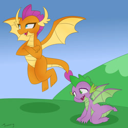 Size: 1600x1600 | Tagged: safe, artist:sunnyroop23, smolder, spike, dragon, g4, female, floating, flying, male, sweat, sweatdrop, winged spike, wings