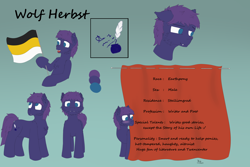 Size: 6000x4000 | Tagged: safe, artist:donnik, oc, oc only, oc:wolf herbst, earth pony, pony, curtains, fangs, flag, looking at you, reference sheet, solo