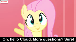 Size: 1920x1080 | Tagged: safe, edit, edited screencap, screencap, fluttershy, pegasus, pony, comic:celestia's servant interview, g4, putting your hoof down, caption, cs captions, female, interview, looking at you, mare, smiling, solo, text