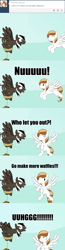 Size: 1280x4897 | Tagged: safe, artist:spectty, oc, oc:coffee cream, oc:spectty, pegasus, pony, angry, ask, caption, flying, image macro, lol, male, pegasus oc, stallion, striped tail, text, tumblr, two toned mane, unexpected