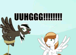 Size: 500x360 | Tagged: safe, artist:spectty, oc, oc:coffee cream, oc:spectty, pegasus, pony, angry, animated, ask, bondage, caption, flying, gif, hogtied, image macro, male, pegasus oc, rope, rope bondage, spread wings, stallion, striped tail, text, tumblr, two toned mane, wings