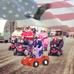 Size: 500x500 | Tagged: safe, artist:furseiseki, edit, twilight sparkle, alicorn, bird, eagle, human, pony, g4, /mlp/, 4chan, american flag, car, driving, fat, flag, irl, irl human, murica, obese, op is a duck, out of character, photo, power wheels, scooter, trailer, twilight sparkle (alicorn), united states