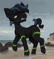 Size: 1697x1870 | Tagged: safe, artist:marsminer, oc, oc only, pony, beach, solo