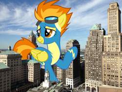 Size: 2400x1800 | Tagged: safe, artist:dashiesparkle, artist:thegiantponyfan, spitfire, pegasus, pony, g4, brooklyn, clothes, female, giant pony, giantess, high res, highrise ponies, irl, macro, mare, new york, photo, ponies in real life, story included, uniform, wonderbolts uniform