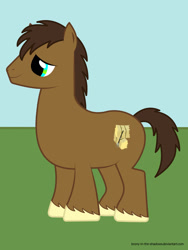 Size: 1500x2000 | Tagged: safe, artist:brony-in-the-shadows, oc, oc only, oc:hayride, earth pony, pony, day, earth pony oc, male, solo