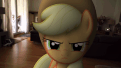 Size: 1920x1080 | Tagged: safe, artist:stormxf3, applejack, earth pony, pony, man versus ponies, g4, 1080p, absurd file size, absurd gif size, angry, animated, applejack is not amused, applejack's hat, cowboy hat, female, frown, gif, hat, irl, looking at you, mare, narrowed eyes, pain star, photo, ponies in real life, silly, silly pony, solo, stars, this will end in pain, unamused, who's a silly pony, youtube, youtube link