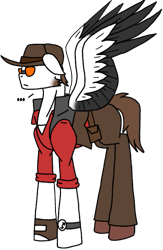 Size: 489x749 | Tagged: safe, artist:agdapl, pegasus, pony, bag, clothes, crossover, hat, male, pants, ponified, saddle bag, simple background, sniper, sniper (tf2), solo, species swap, stallion, team fortress 2, transparent background, two toned wings, wings