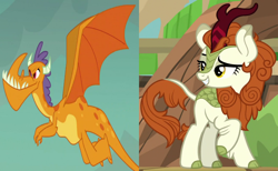 Size: 1300x800 | Tagged: safe, edit, edited screencap, screencap, autumn blaze, billy, dragon, kirin, g4, gauntlet of fire, sounds of silence, background dragon, billyblaze, crack shipping, cropped, female, flying, interspecies, male, shipping, shipping domino, smiling, straight, teenaged dragon
