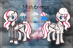 Size: 3000x2000 | Tagged: safe, artist:doukz, oc, oc only, oc:misty breeze, pegasus, pony, clothes, female, high res, hoodie, mare, pegasus oc, reference sheet, solo, weather factory uniform