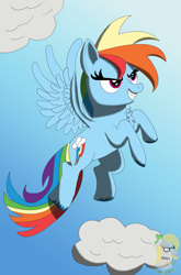 Size: 5612x8488 | Tagged: safe, artist:gray star, derpibooru exclusive, rainbow dash, pegasus, pony, g4, the ticket master, absurd resolution, cloud, female, flying, mare, scene interpretation, sky, solo