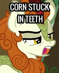 Size: 584x715 | Tagged: safe, edit, edited screencap, screencap, autumn blaze, kirin, g4, sounds of silence, solo