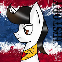 Size: 768x768 | Tagged: safe, artist:mudmee-thai, oc, oc only, earth pony, pony, abstract background, bust, earth pony oc, male, peytral, smiling, solo, stallion