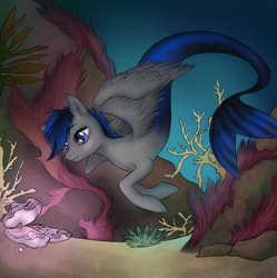 Size: 1740x1748 | Tagged: safe, artist:lifaxenon, oc, oc only, hybrid, merpony, pegasus, pony, blue eyes, coral, female, fish tail, glowing, mare, ocean, oyster, pearl, seaponified, seaweed, solo, species swap, swimming, tail, underwater, water, wings
