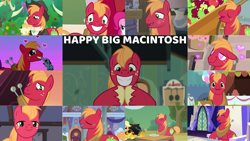 Size: 1280x722 | Tagged: safe, edit, edited screencap, editor:quoterific, screencap, applejack, big macintosh, pinkie pie, smarty pants, earth pony, pony, a horse shoe-in, apple family reunion, brotherhooves social, dungeons and discords, filli vanilli, hard to say anything, hearthbreakers, just for sidekicks, lesson zero, pinkie apple pie, season 4, season 5, season 8, season 9, the big mac question, the break up breakdown, the last problem, blushing, clothes, cute, dilated pupils, eating, happy, heart eyes, macabetes, male, mouth hold, offscreen character, puffy cheeks, puppy dog eyes, solo focus, stallion, wingding eyes