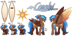 Size: 1280x640 | Tagged: safe, artist:blizzard-queen, oc, oc only, oc:coastal beach glow, pegasus, pony, female, mare, solo, sunglasss, surfboard, wesuit