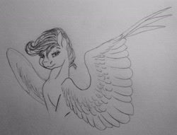 Size: 2922x2230 | Tagged: safe, artist:crazyaniknowit, scootaloo, pony, g4, bust, high res, monochrome, portrait, solo, traditional art