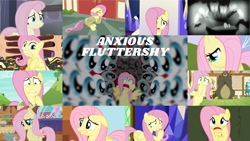 Size: 1280x720 | Tagged: safe, edit, edited screencap, editor:quoterific, screencap, angel bunny, fluttershy, harry, pegasus, pony, a bird in the hoof, buckball season, fame and misfortune, filli vanilli, friendship is magic, g4, griffon the brush off, hurricane fluttershy, magic duel, magical mystery cure, scare master, season 1, season 2, season 4, sounds of silence, the cutie map, the return of harmony, hair over one eye