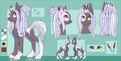 Size: 7920x4000 | Tagged: safe, artist:shkura2011, oc, oc only, oc:pinto, earth pony, pony, absurd resolution, male, reference sheet, solo, stallion