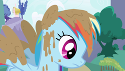 Size: 1920x1080 | Tagged: safe, screencap, rainbow dash, pegasus, pony, friendship is magic, g4, covered in mud, female, mare, mud, solo