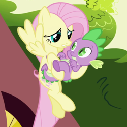 Size: 720x720 | Tagged: safe, screencap, fluttershy, spike, dragon, pegasus, pony, friendship is magic, g4, season 1, cropped, duo, female, male, mare