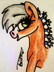 Size: 1508x2016 | Tagged: safe, artist:beamybutt, oc, oc only, earth pony, pony, bust, earth pony oc, eyelashes, female, mare, open mouth, smiling, solo, traditional art