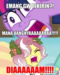 Size: 1831x2289 | Tagged: safe, edit, edited screencap, screencap, twilight sparkle, vignette valencia, alicorn, pony, a trivial pursuit, equestria girls, equestria girls specials, g4, my little pony equestria girls: better together, my little pony equestria girls: rollercoaster of friendship, angry, female, indonesian, mare, meme, rage, ragelight sparkle, this is trivia trot, translated in the comments, translation request, twilight sparkle (alicorn), yelling