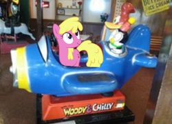 Size: 994x719 | Tagged: safe, artist:flash-draw, artist:topsangtheman, edit, cherry berry, bird, earth pony, penguin, pony, woodpecker, g4, background pony, chilly willy, female, irl, kiddie ride, male, mare, photo, plane, ponies in real life, ride, riding, that pony sure does love planes, woody woodpecker