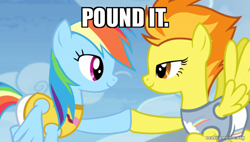 Size: 800x454 | Tagged: safe, edit, edited screencap, screencap, rainbow dash, spitfire, pegasus, pony, equestria games (episode), g4, season 4, caption, hoofbump, image macro, miraculous ladybug, pound it, text