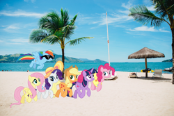 Size: 2400x1600 | Tagged: safe, artist:cloudy glow, applejack, fluttershy, pinkie pie, rainbow dash, rarity, twilight sparkle, alicorn, earth pony, pegasus, pony, unicorn, g4, beach, brazil, female, hat, irl, mane six, mare, photo, ponies in real life, rio de janeiro, story included, sunglasses, tree, twilight sparkle (alicorn)