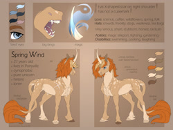 Size: 1920x1440 | Tagged: safe, artist:dementra369, oc, oc:spring wind, pony, unicorn, reference sheet, solo