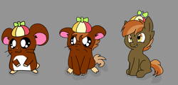Size: 1343x645 | Tagged: safe, artist:edwardhamham, button mash, oc, oc:edward, earth pony, hamster, pony, g4, character to character, hamtaro, hat, non-mlp oc, propeller hat, transformation, transformation sequence