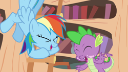 Size: 1920x1080 | Tagged: safe, screencap, rainbow dash, spike, dragon, pegasus, pony, g4, it's about time, season 2, eyes closed, female, golden oaks library, ladder, laughing, male, mare, open mouth