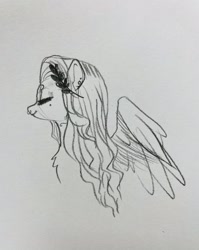 Size: 1630x2048 | Tagged: safe, artist:opalacorn, oc, oc only, oc:void, pegasus, pony, ear piercing, earring, eyes closed, jewelry, nose piercing, nose ring, piercing, sketch, smiling, solo, spread wings, traditional art, wings