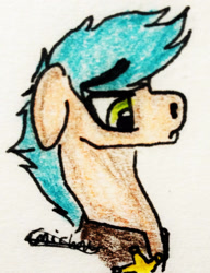 Size: 1559x2026 | Tagged: safe, artist:beamybutt, oc, oc only, earth pony, pony, clothes, earth pony oc, floppy ears, male, signature, solo, stallion, traditional art