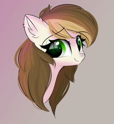 Size: 1596x1745 | Tagged: safe, artist:janelearts, oc, oc only, earth pony, pony, bust, female, mare, portrait, solo
