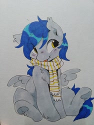 Size: 1000x1333 | Tagged: safe, artist:apple_nettle, oc, oc only, pegasus, pony, blushing, chest fluff, clothes, cute, cute little fangs, ear fluff, fangs, leg fluff, scarf, sitting, smiling, solo, spread wings, tongue out, traditional art, underhoof, wings
