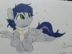 Size: 1333x1000 | Tagged: safe, artist:apple_nettle, oc, oc only, pegasus, pony, bubble, clothes, lying down, scarf, solo, traditional art