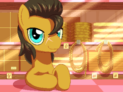 Size: 800x600 | Tagged: safe, artist:rangelost, oc, oc only, earth pony, pony, cyoa:d20 pony, indoors, looking at you, male, pixel art, rope, shop, stallion
