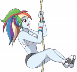 Size: 2734x2551 | Tagged: safe, artist:sumin6301, rainbow dash, equestria girls, g4, breasts, busty rainbow dash, climbing, clothes, converse, female, high res, open mouth, rope, shoes, simple background, solo, sports bra, sports panties, white background, wristband