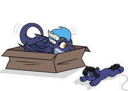 Size: 1152x821 | Tagged: safe, alternate character, alternate version, artist:rokosmith26, part of a set, oc, oc only, oc:nightshade, dragon, bait, behaving like a cat, box, commission, dragoness, female, horns, imminent pounce, looking at something, lying down, plushie, roko's hunting ponies, simple background, solo, string, tail, toy, transparent background, wings, ych result